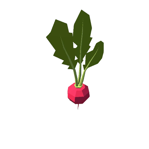 Radish A